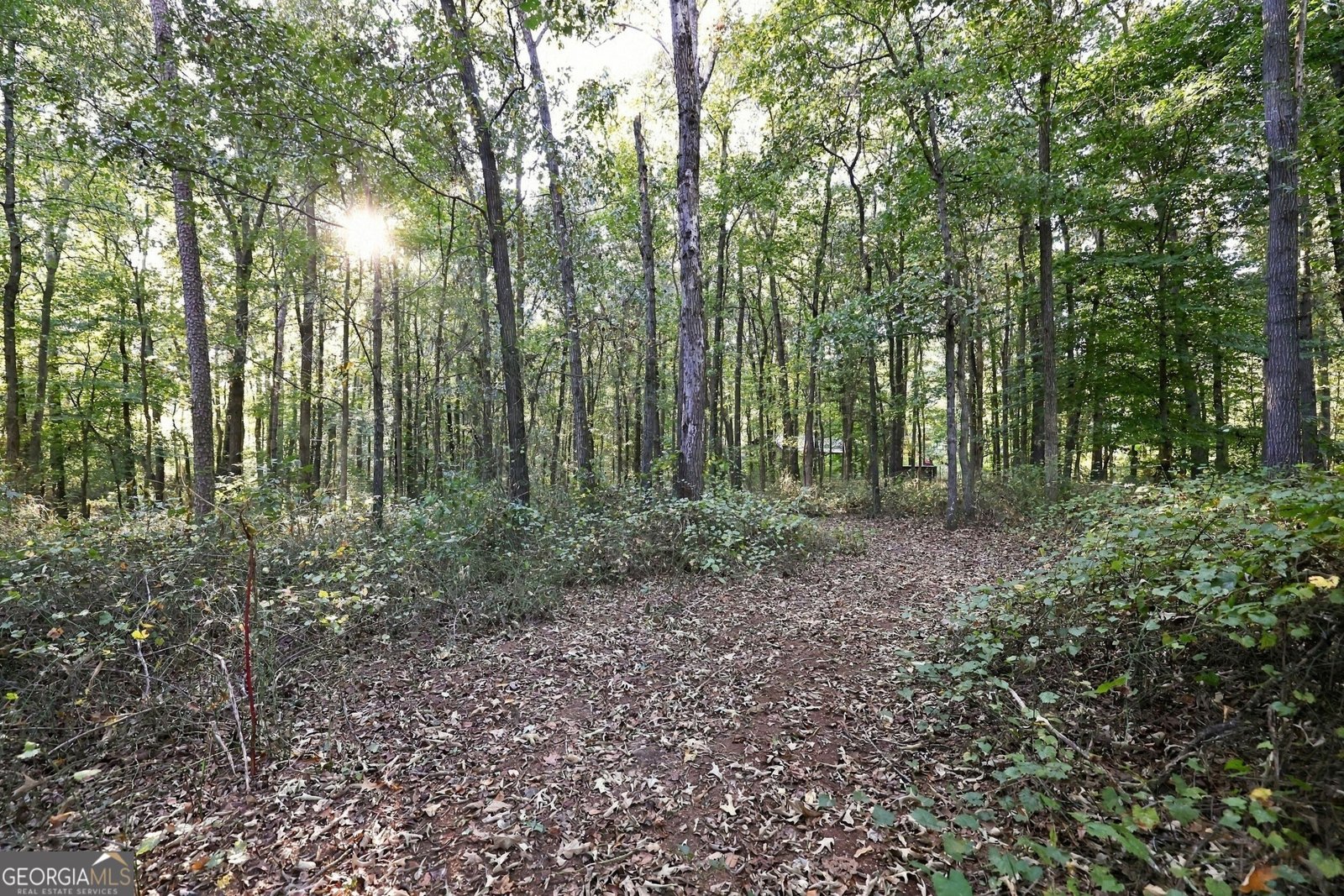 3453 Bowman Highway Hartwell - Photo 70