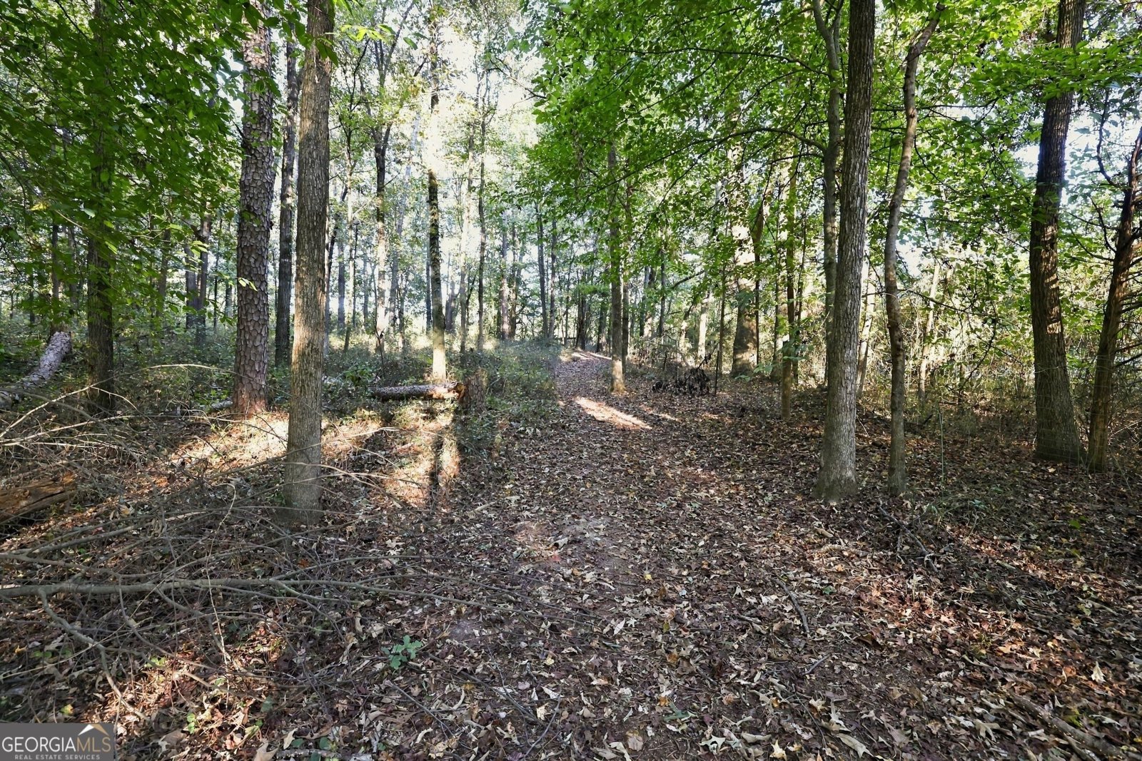 3453 Bowman Highway Hartwell - Photo 73