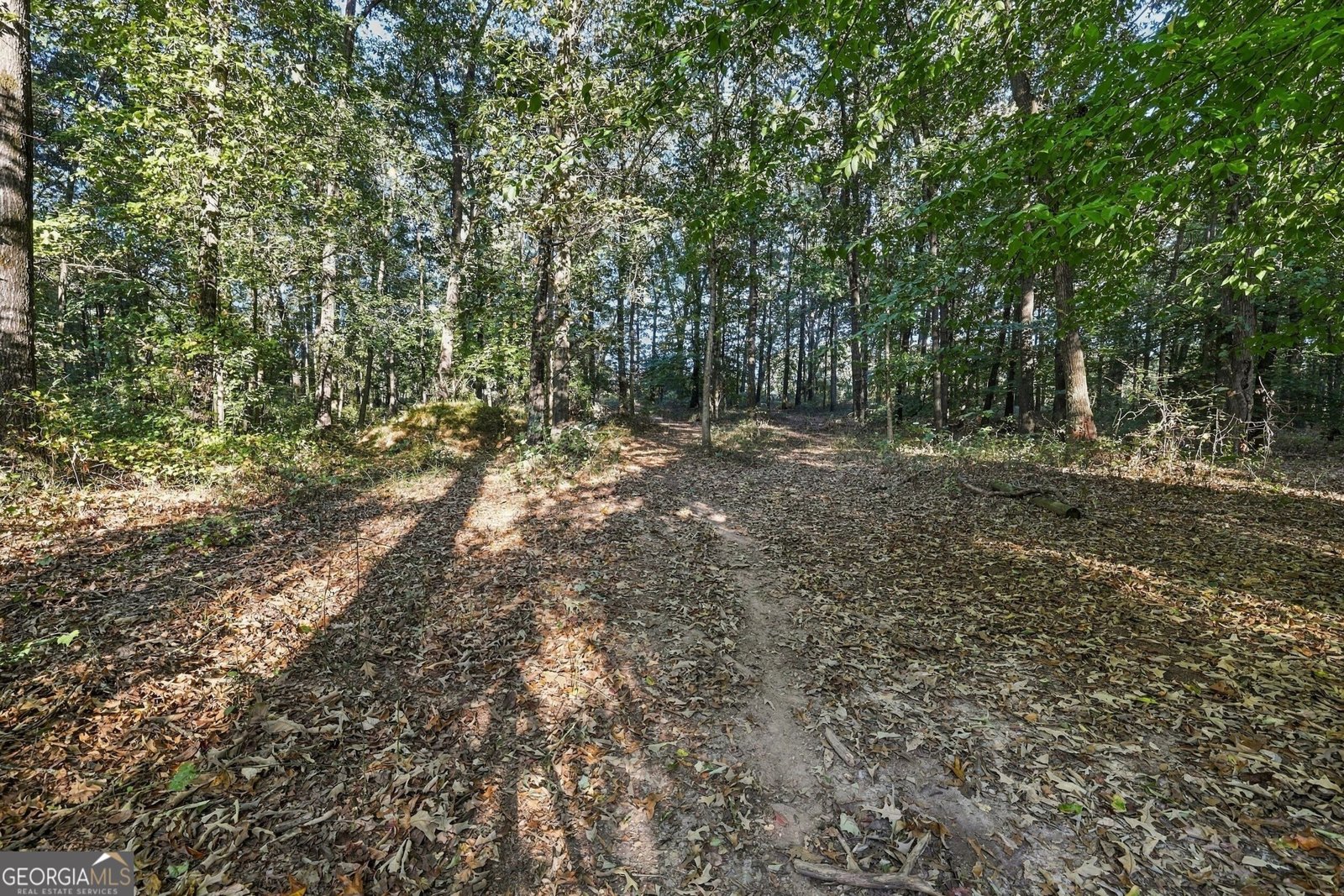 3453 Bowman Highway Hartwell - Photo 74