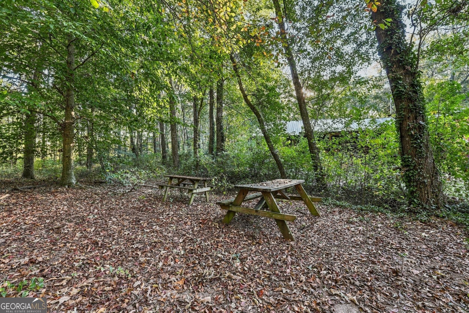 3453 Bowman Highway Hartwell - Photo 75