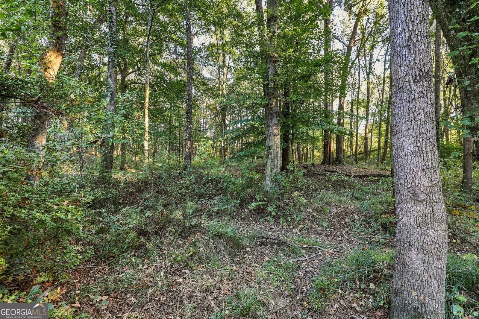 3453 Bowman Highway Hartwell - Photo 80
