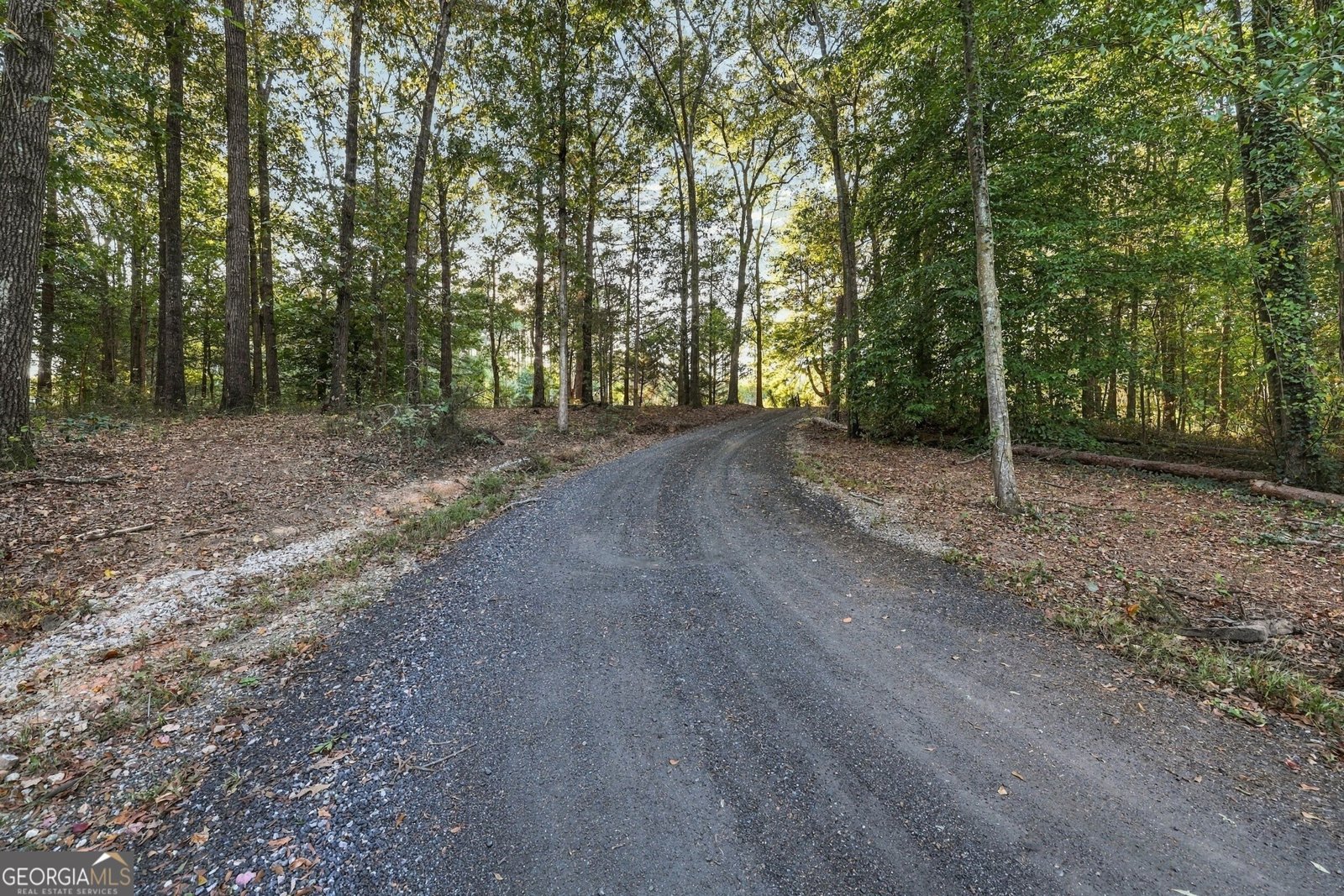 3453 Bowman Highway Hartwell - Photo 81