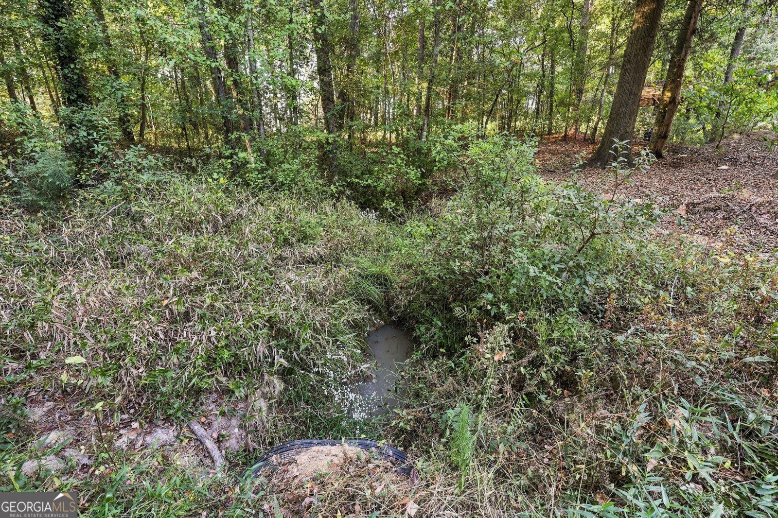 3453 Bowman Highway Hartwell - Photo 82