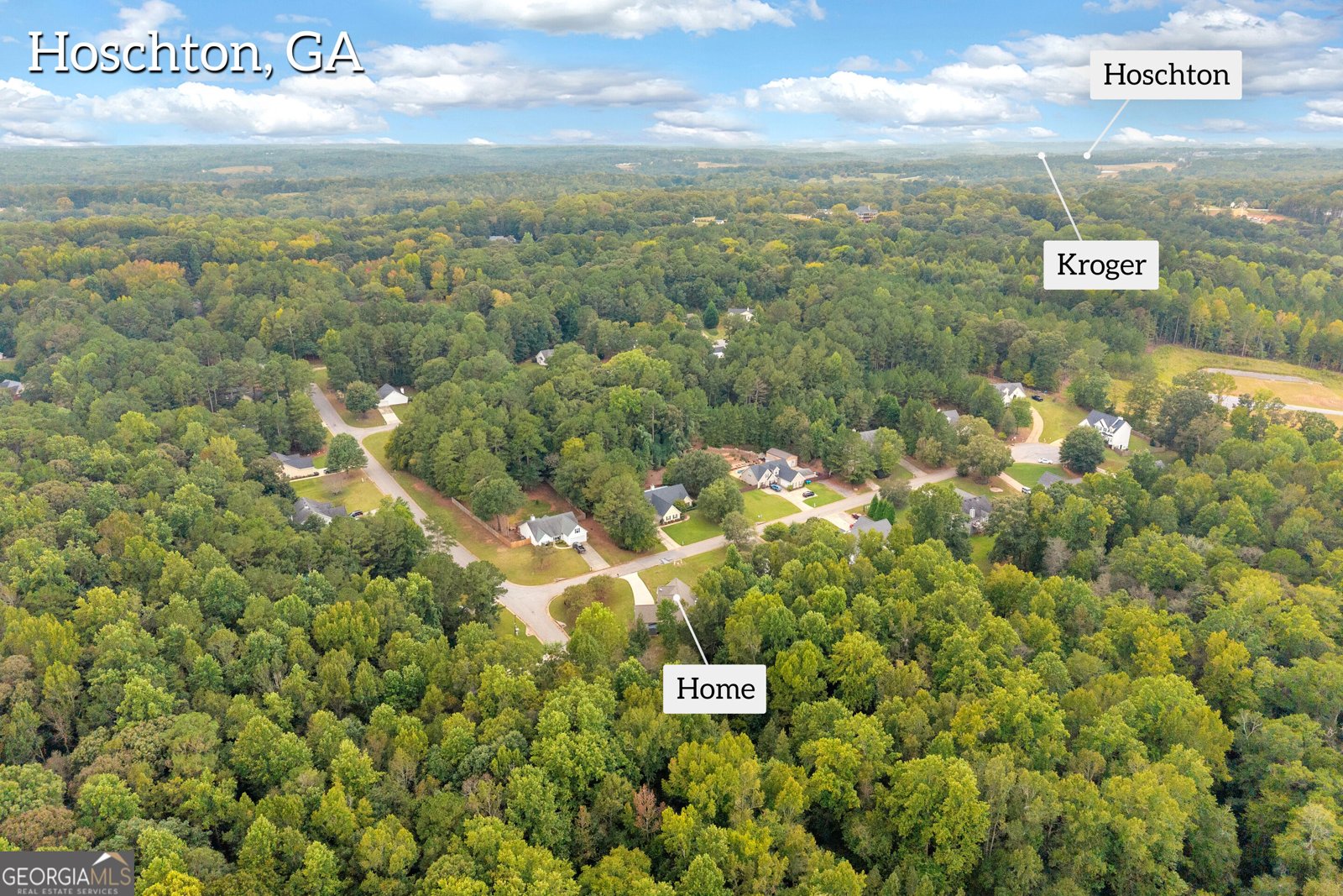 22 Maple Leaf Ct Hoschton - Photo 33