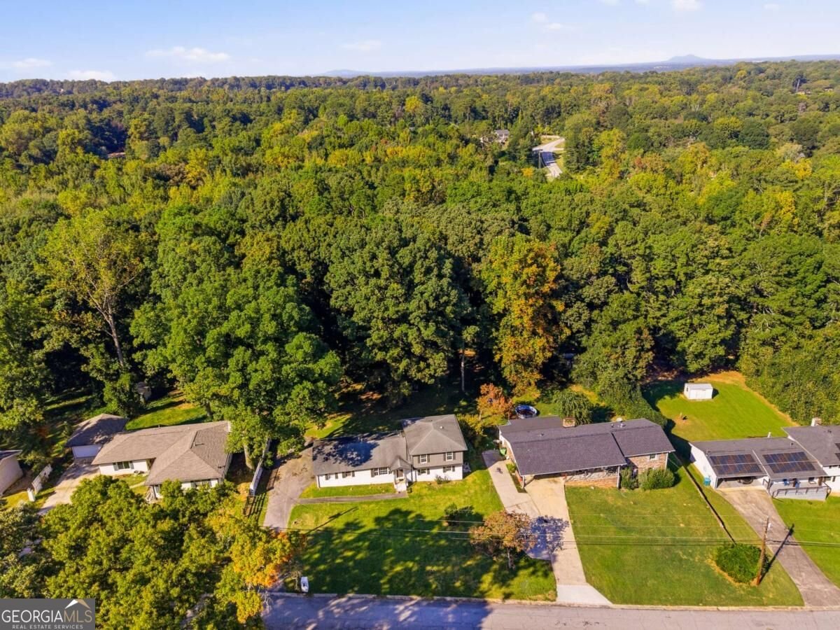 4307 Parkview Drive Lithia Springs - Photo 28