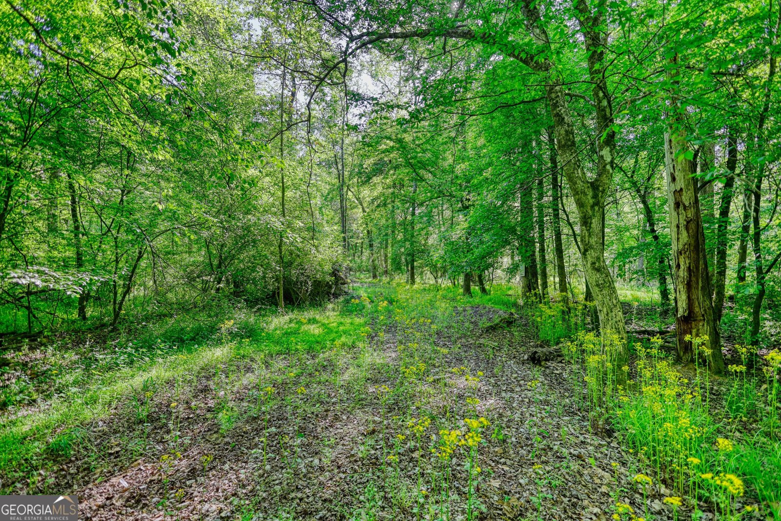 393 Edwards Road Oxford - Photo 107