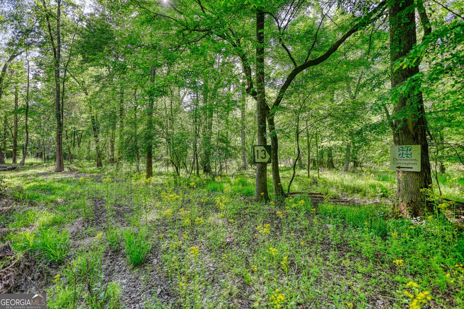393 Edwards Road Oxford - Photo 108