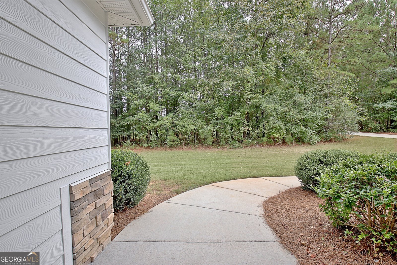 1375 Dolly Nixon Road Senoia - Photo 12