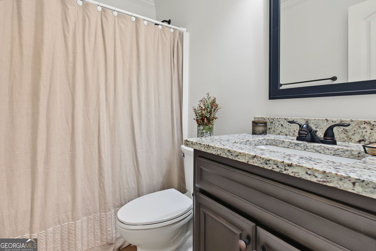 1375 Dolly Nixon Road Senoia - Photo 52