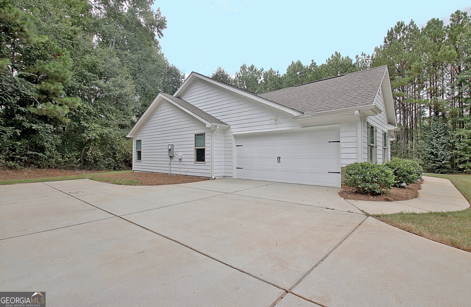 1375 Dolly Nixon Road Senoia - Photo 7