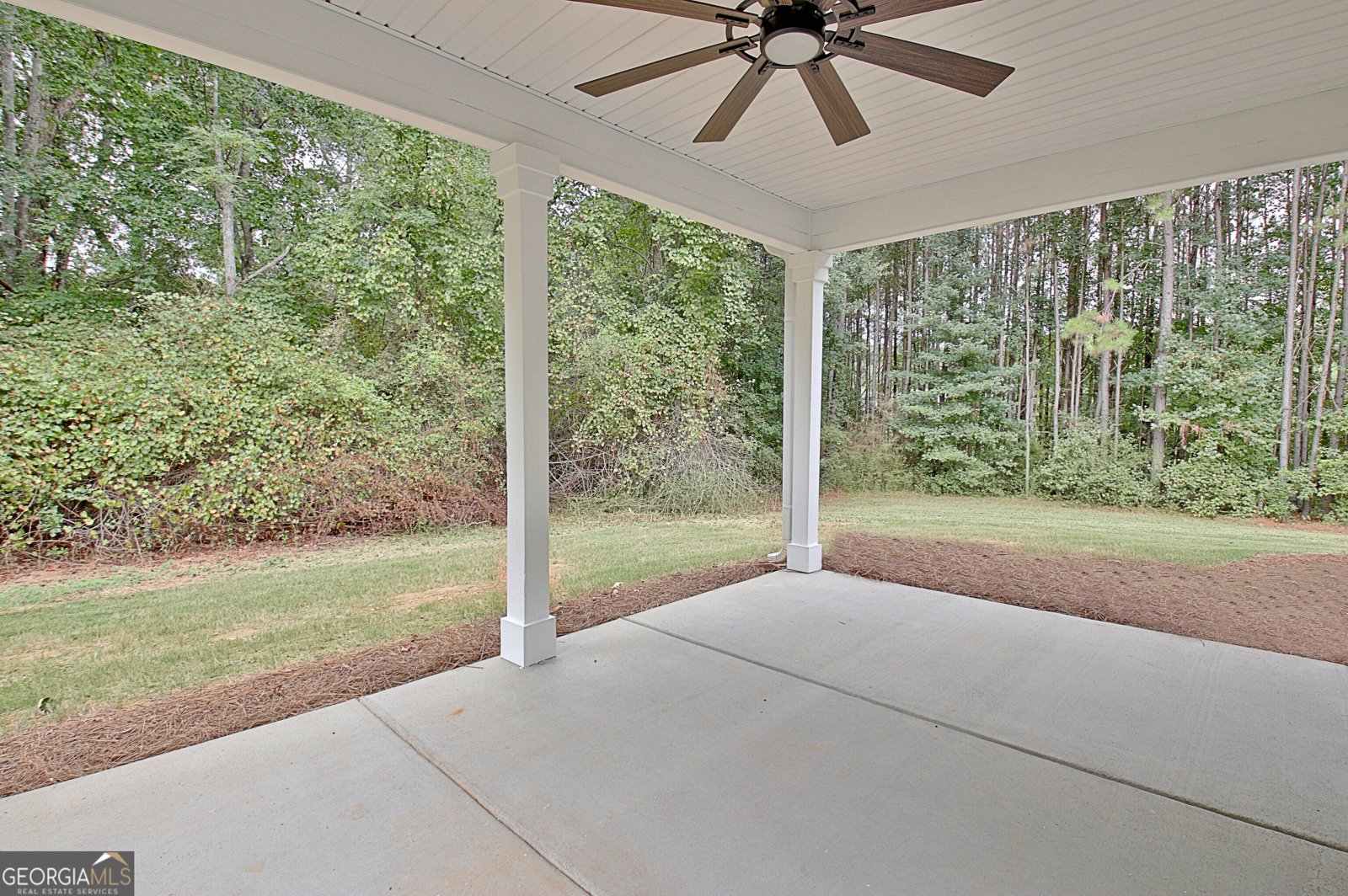1375 Dolly Nixon Road Senoia - Photo 70