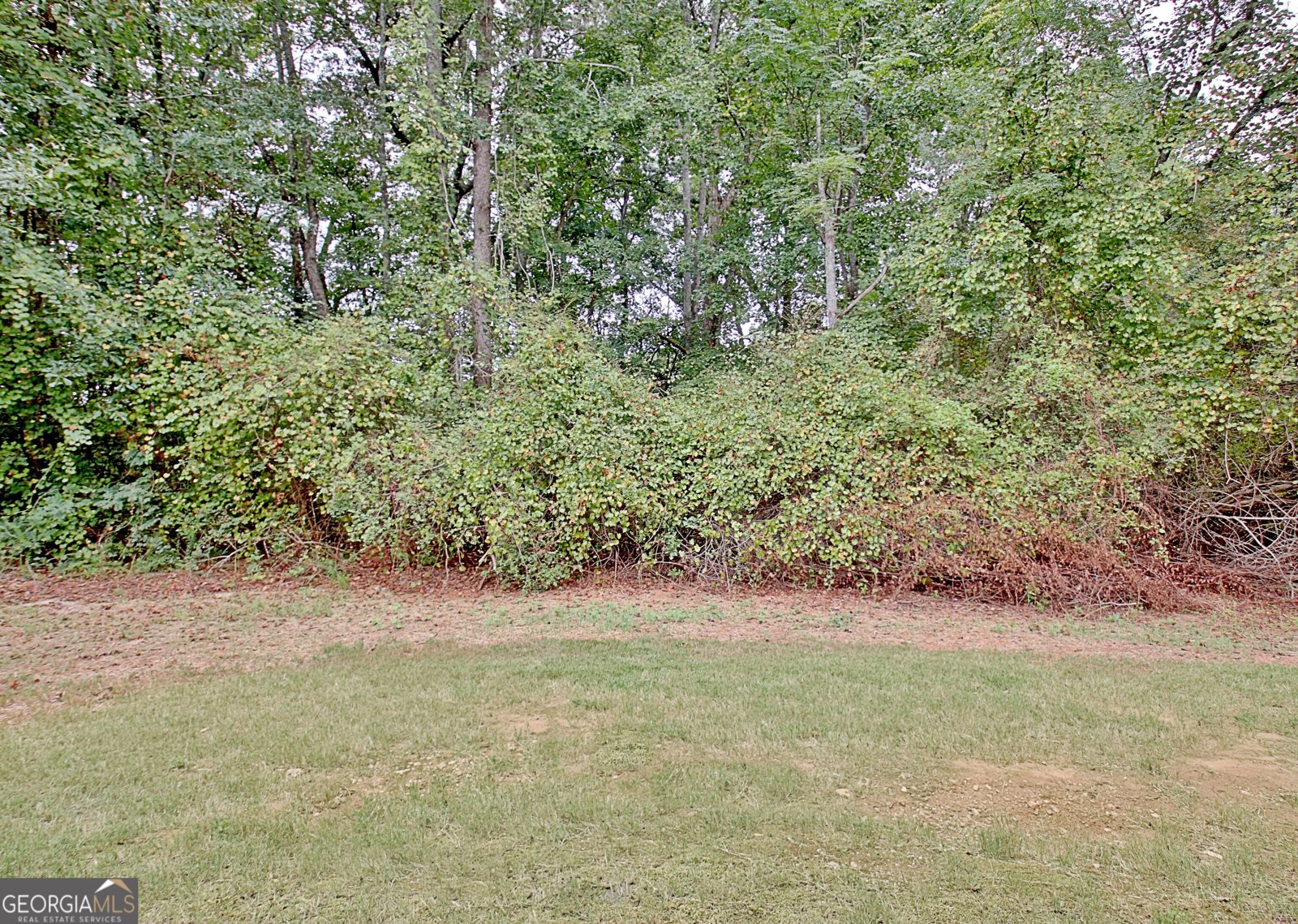 1375 Dolly Nixon Road Senoia - Photo 71