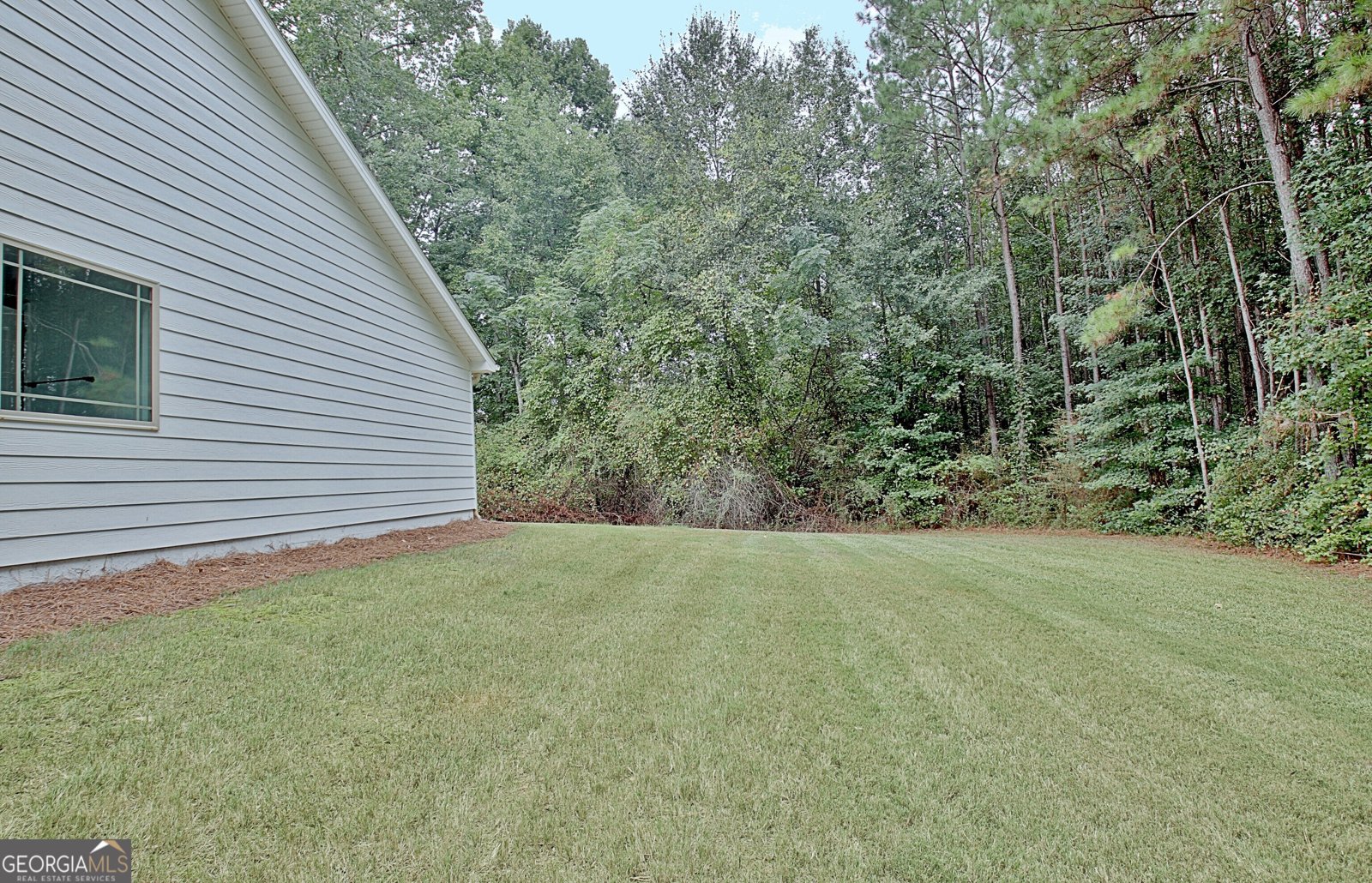 1375 Dolly Nixon Road Senoia - Photo 74