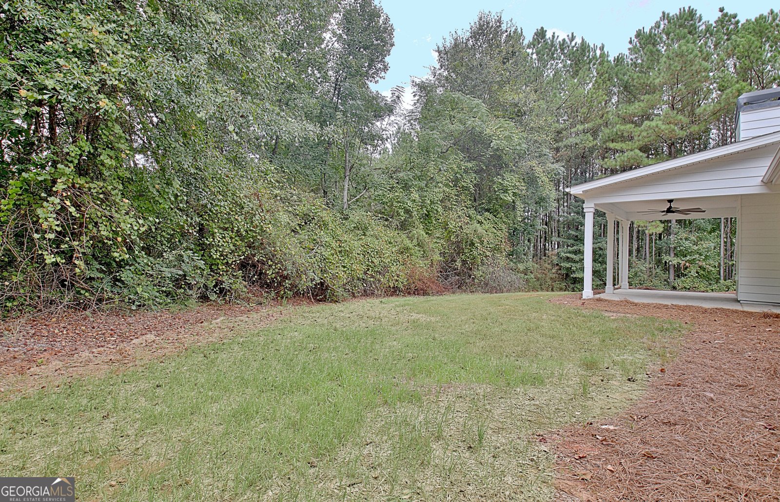 1375 Dolly Nixon Road Senoia - Photo 78