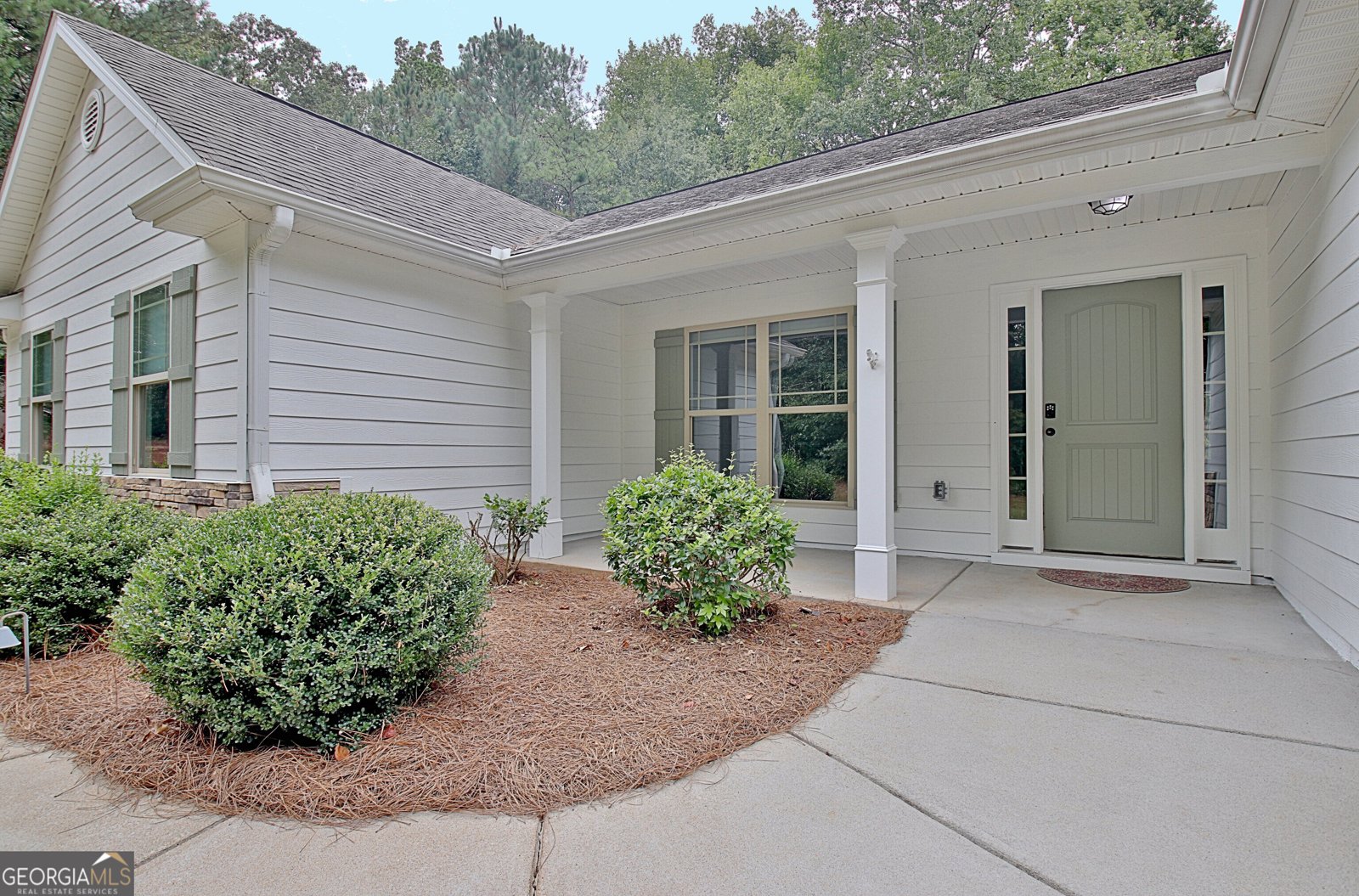 1375 Dolly Nixon Road Senoia - Photo 9