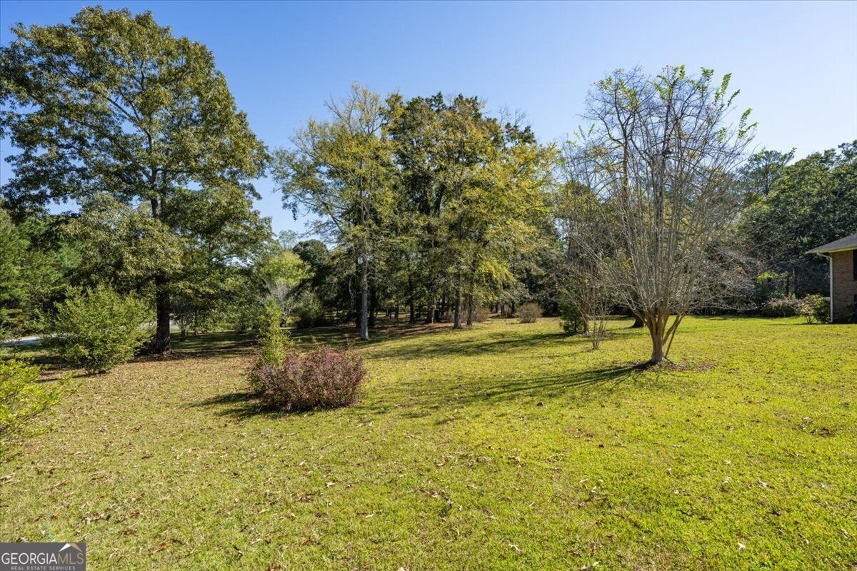 3007 Dames Ferry Road Forsyth - Photo 33