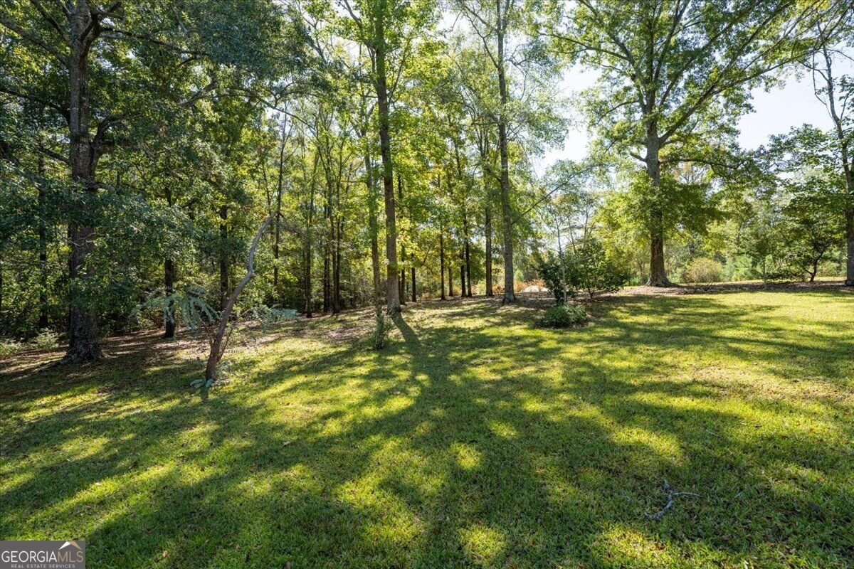 3007 Dames Ferry Road Forsyth - Photo 34