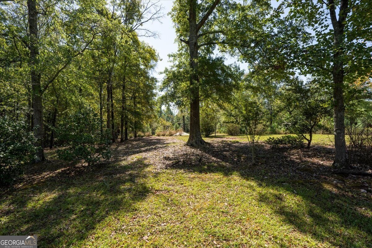 3007 Dames Ferry Road Forsyth - Photo 35