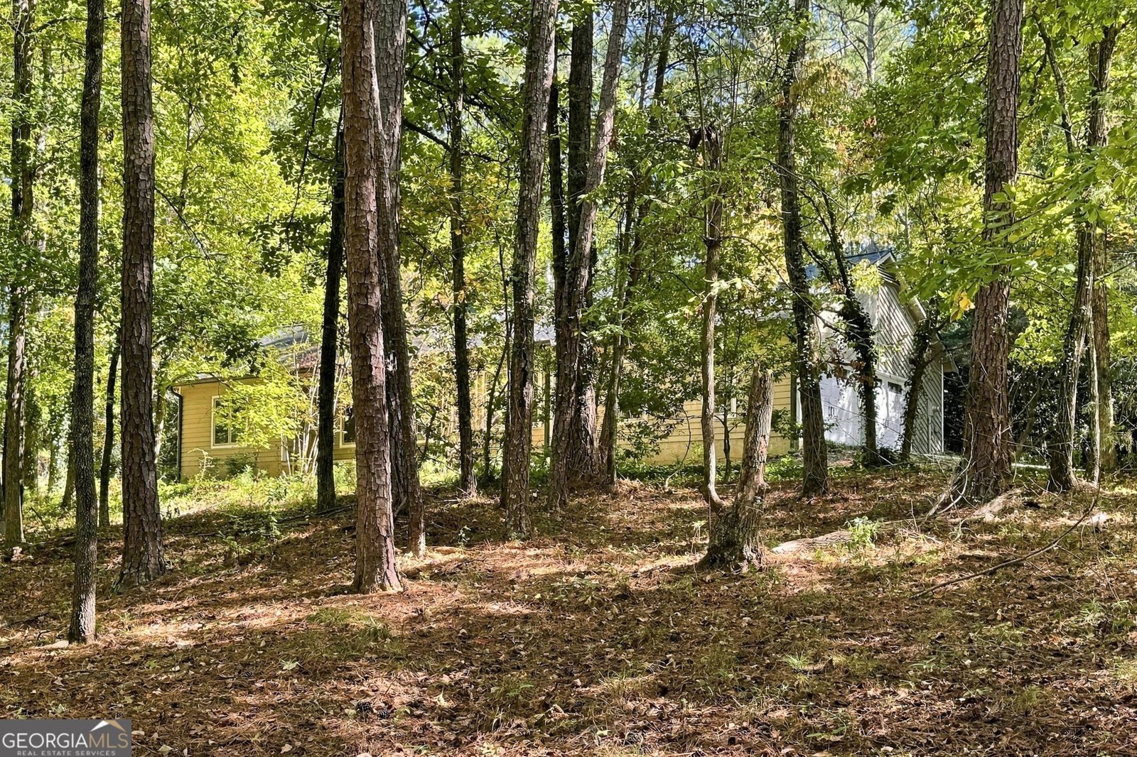 149 Darwish Drive McDonough - Photo 3