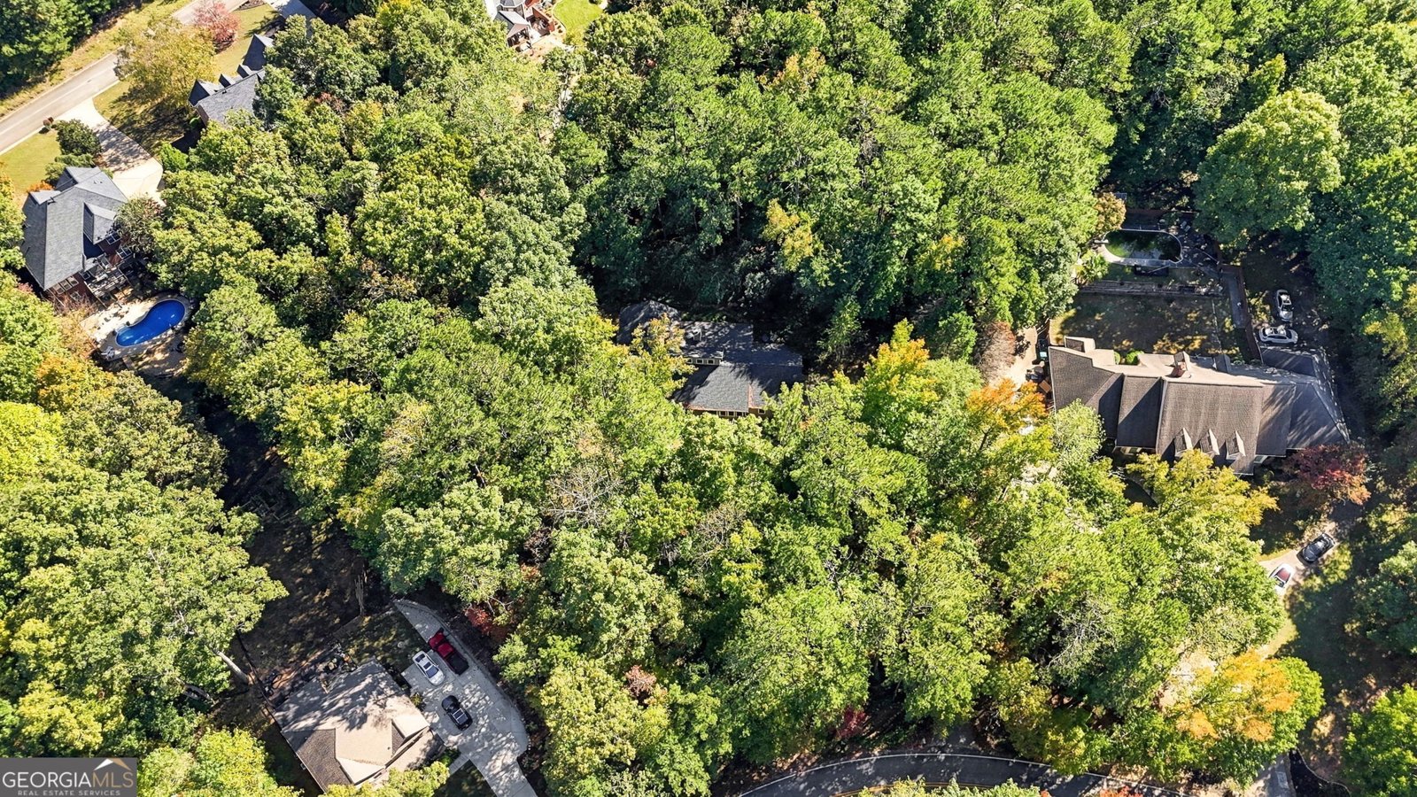 149 Darwish Drive McDonough - Photo 38