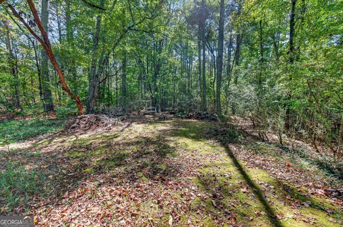 82 Bailey Road Adairsville - Photo 47