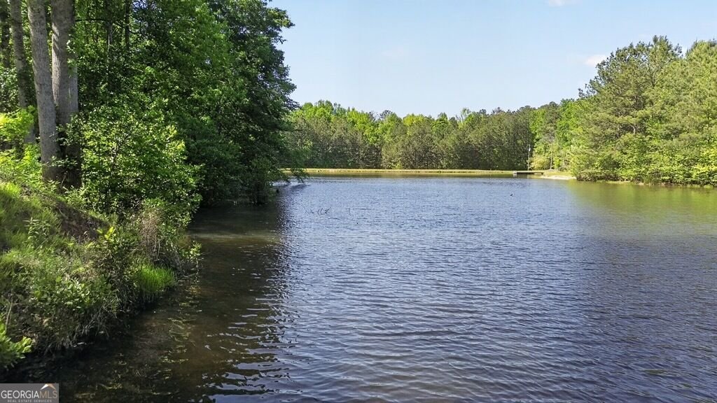 397 Sandhill Hickory Level Road Carroll - Photo 34