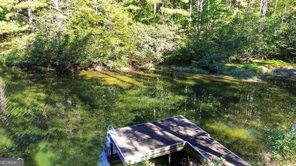 397 Sandhill Hickory Level Road Carroll - Photo 36