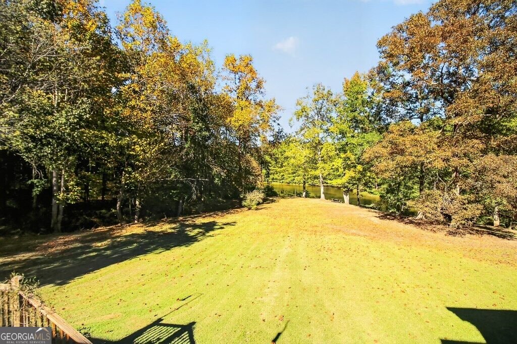397 Sandhill Hickory Level Road Carroll - Photo 38