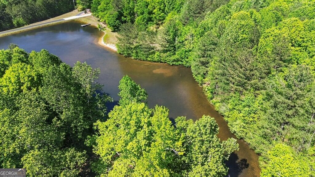 397 Sandhill Hickory Level Road Carroll - Photo 39