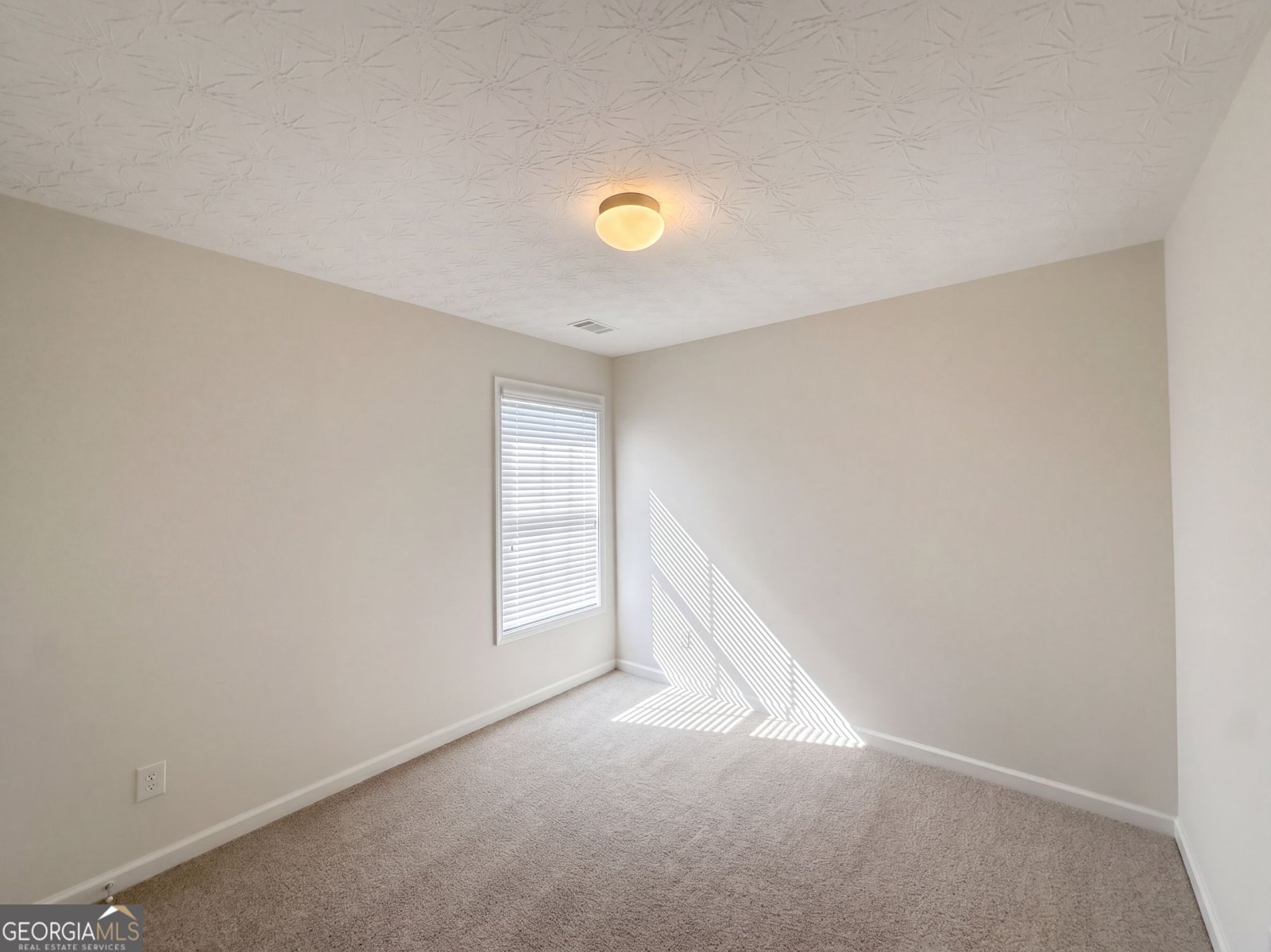 6730 Island Pointe Drive Buford - Photo 16
