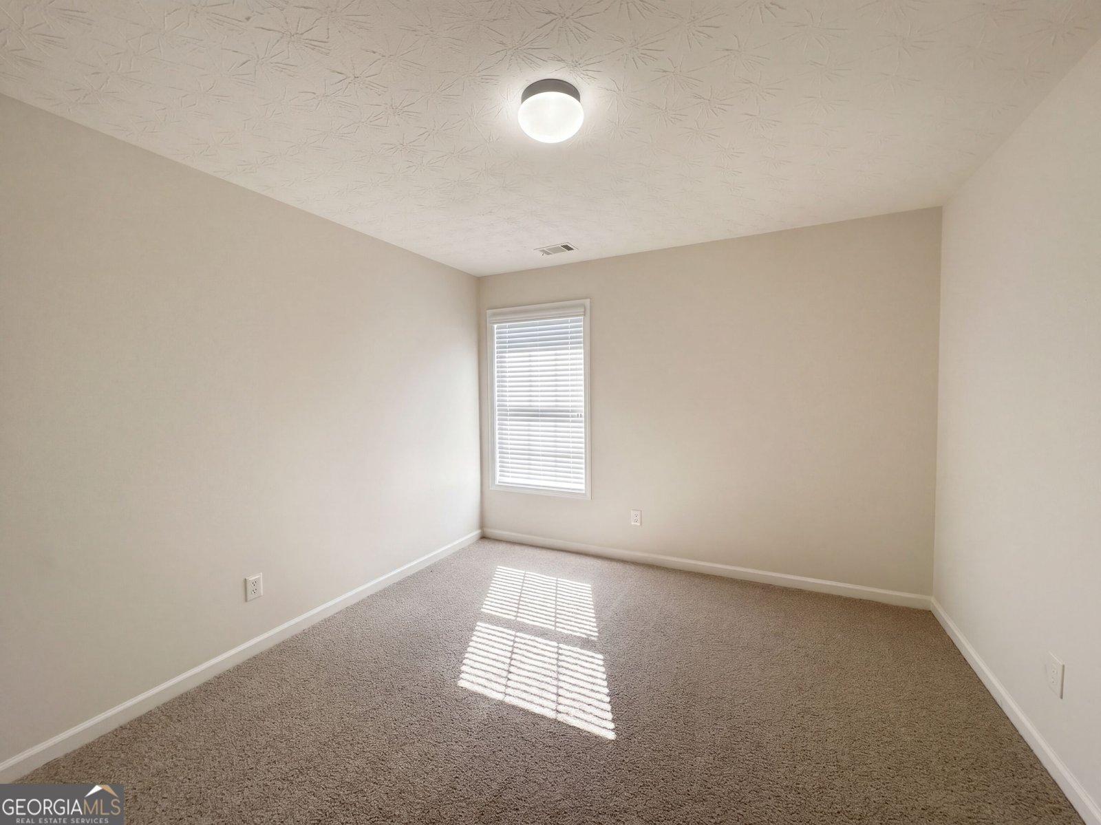 6730 Island Pointe Drive Buford - Photo 18
