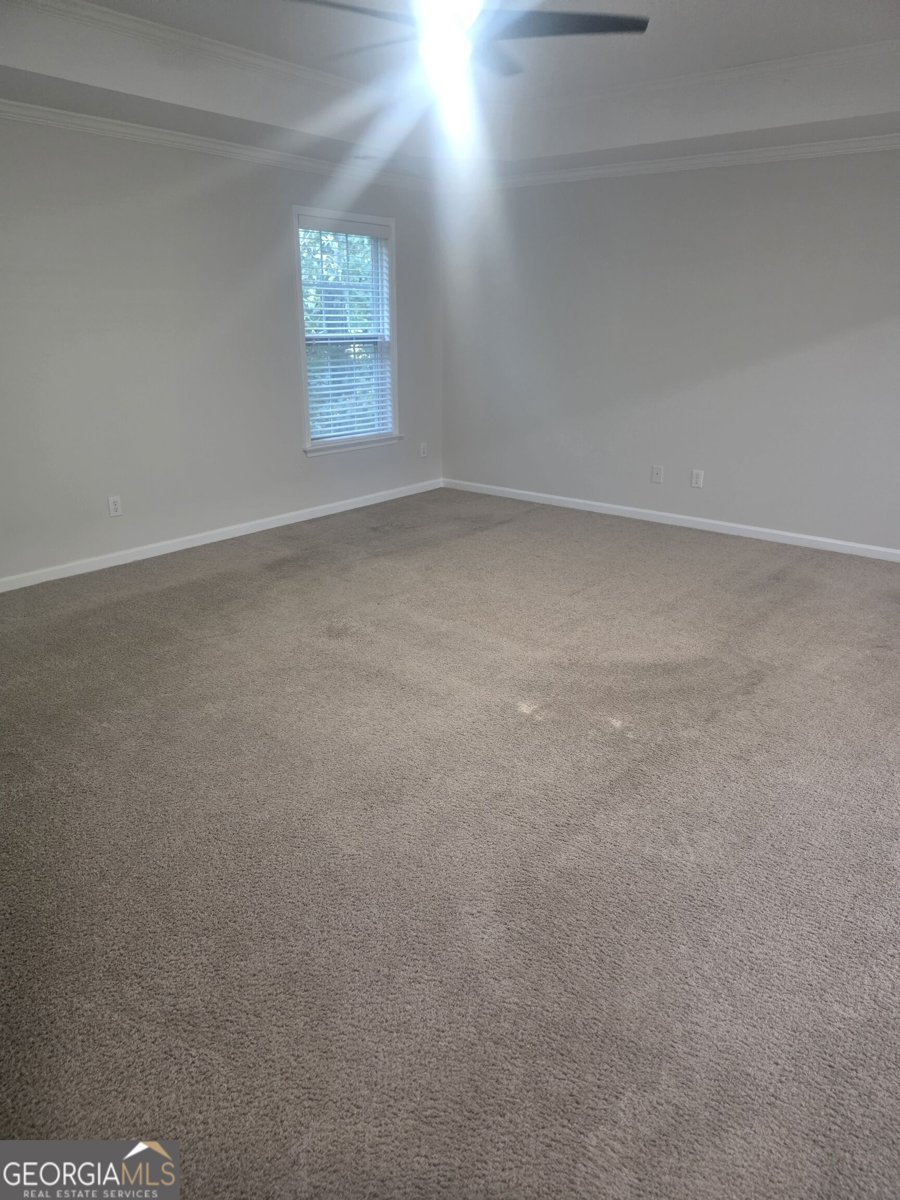 8921 Elina Rose Douglasville - Photo 29