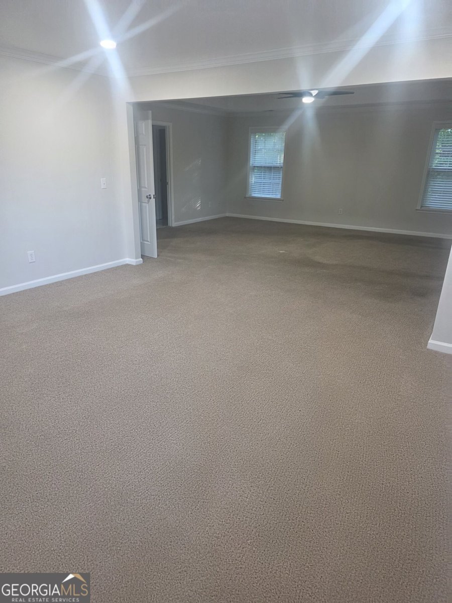 8921 Elina Rose Douglasville - Photo 30