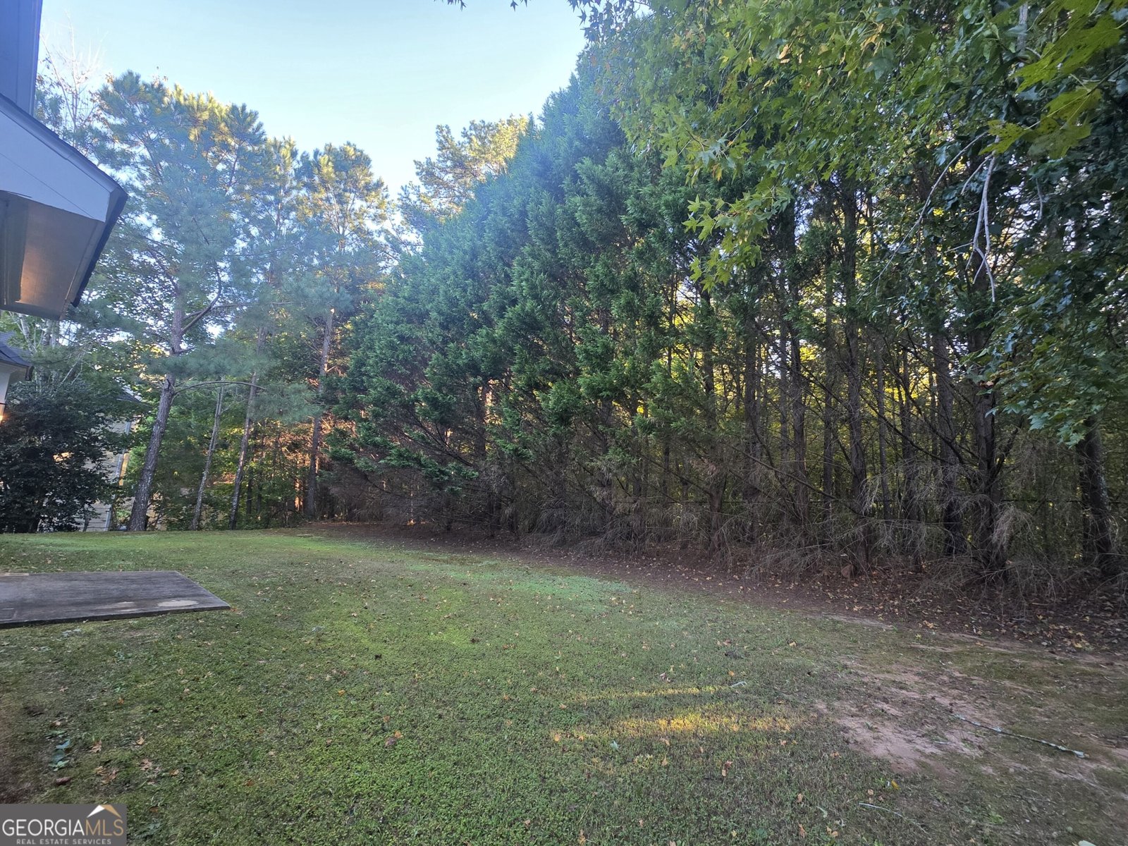 8921 Elina Rose Douglasville - Photo 43