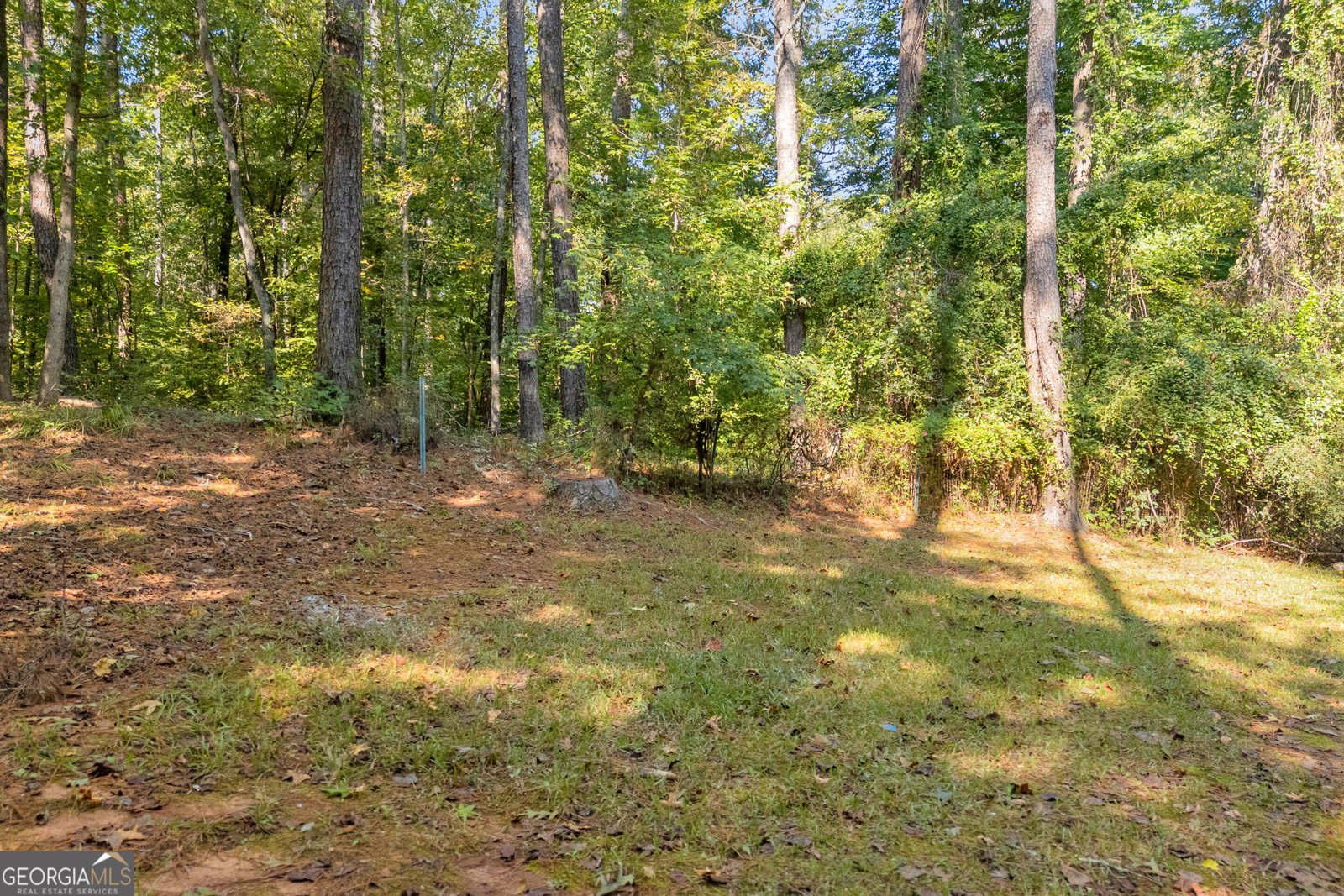 135 Sara Drive Covington - Photo 6
