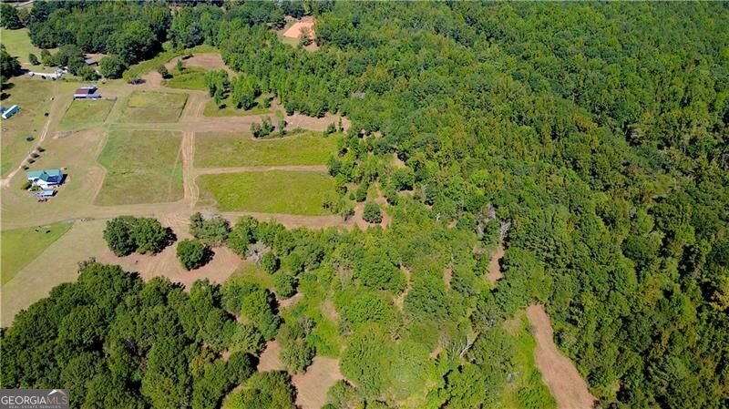 4230 Gauntt Road Covington - Photo 29