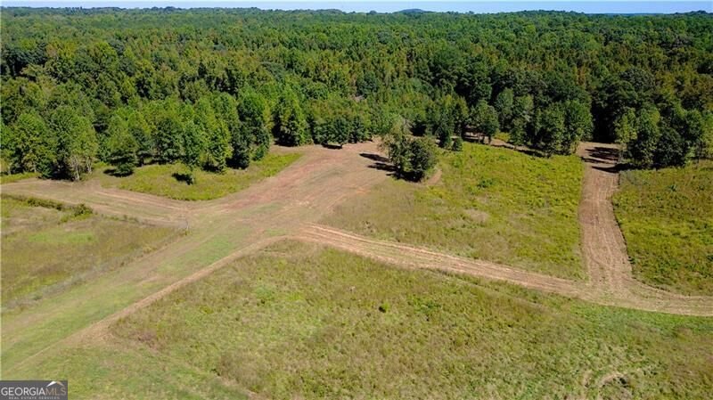 4230 Gauntt Road Covington - Photo 42