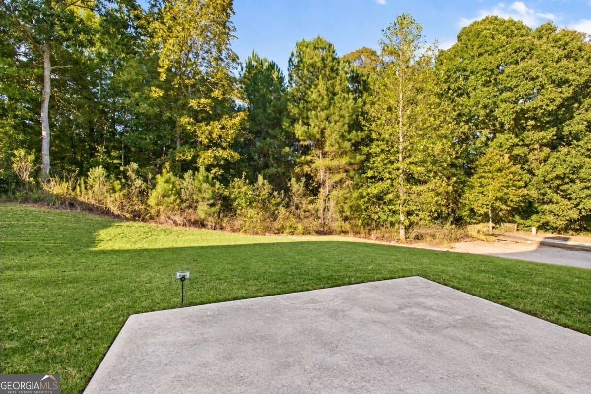 6055 Prodigy Lane Locust Grove - Photo 30