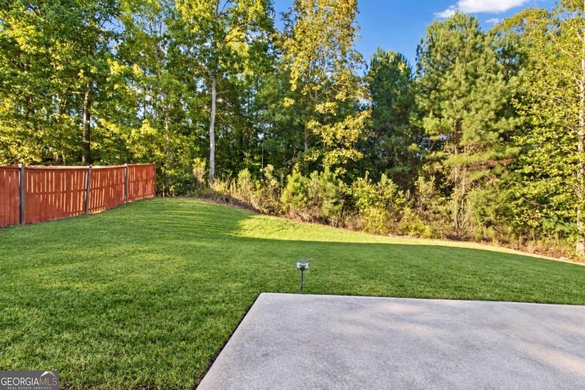 6055 Prodigy Lane Locust Grove - Photo 31