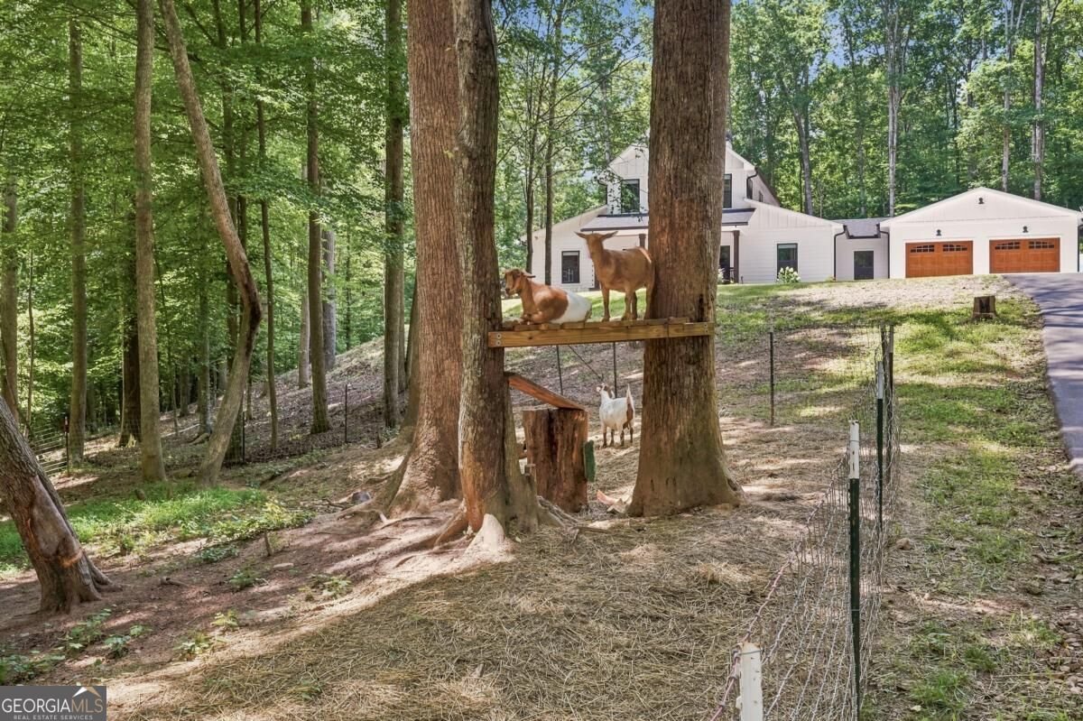 1684 Fairview Road Jasper - Photo 48