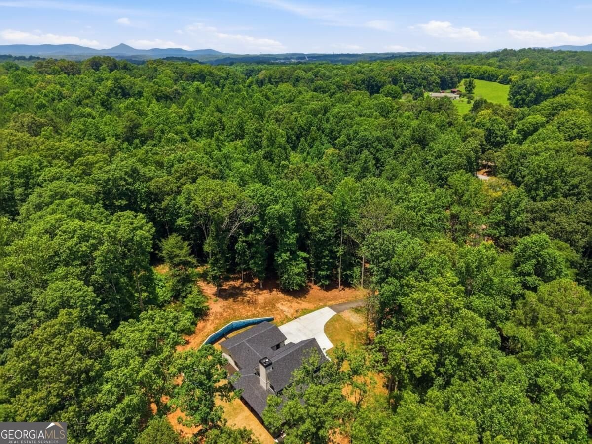 1684 Fairview Road Jasper - Photo 56