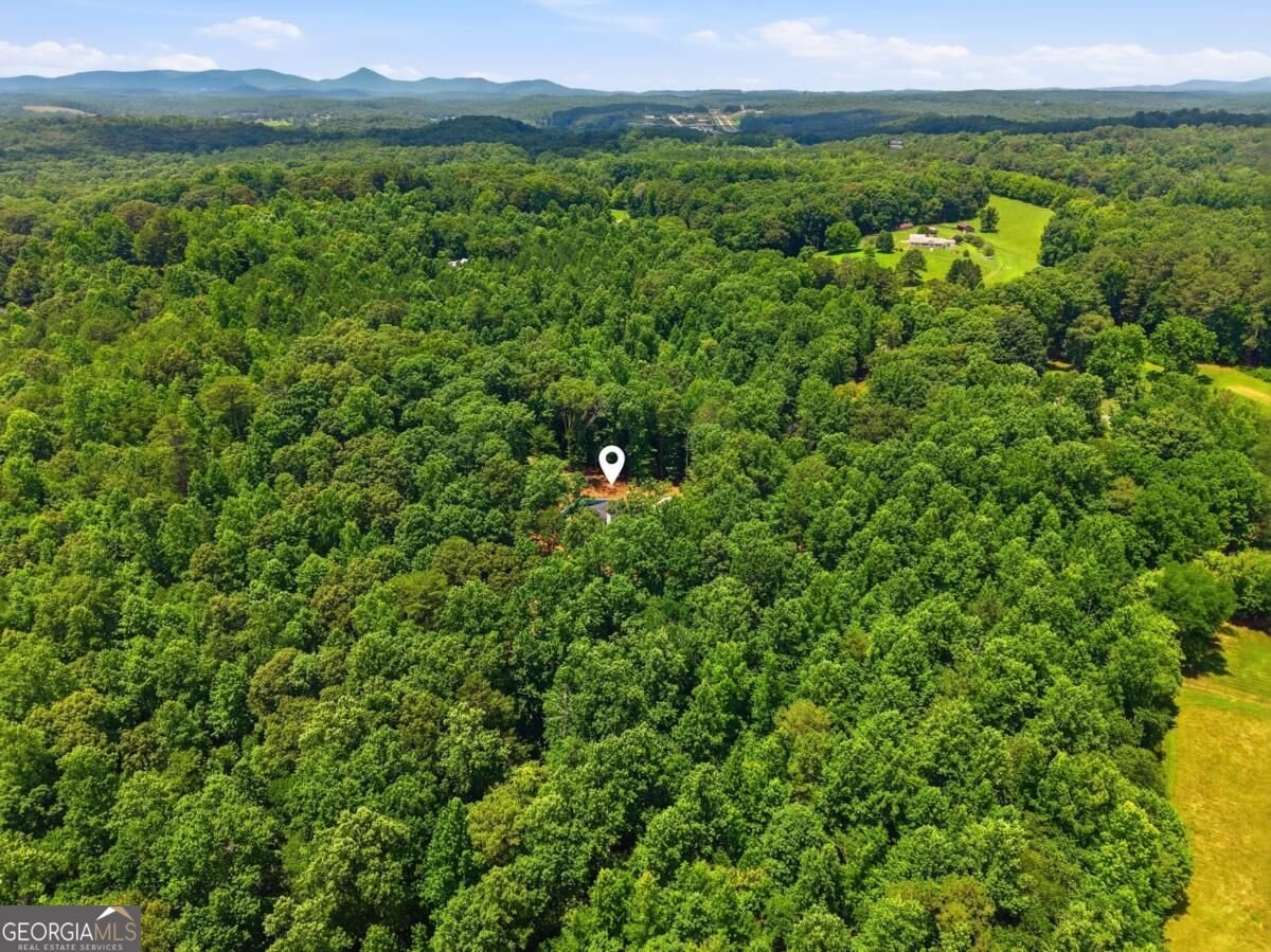 1684 Fairview Road Jasper - Photo 64