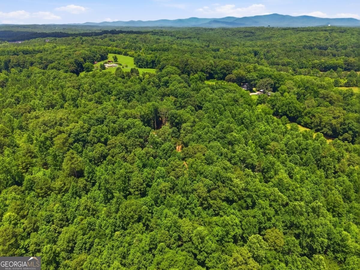 1684 Fairview Road Jasper - Photo 65