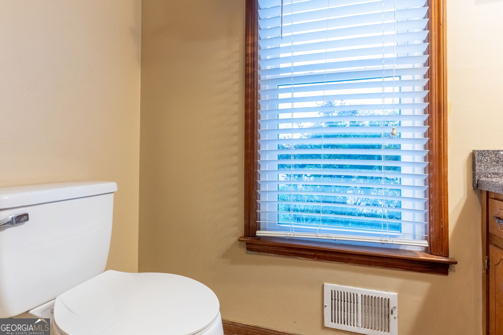 1601 Dillwood Court Lithonia - Photo 19