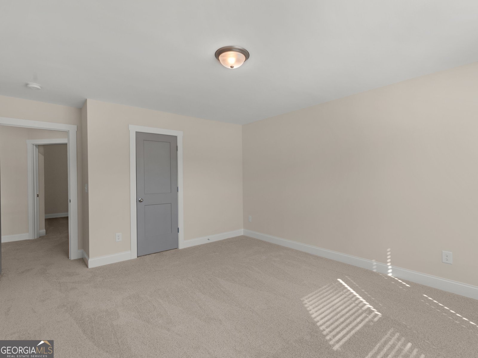 251 Lake Point Drive Williamson - Photo 22