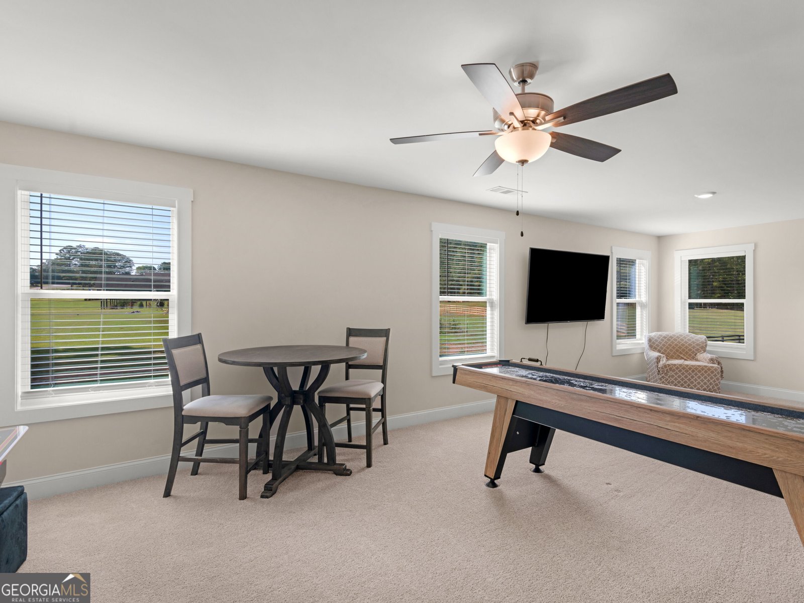 251 Lake Point Drive Williamson - Photo 27