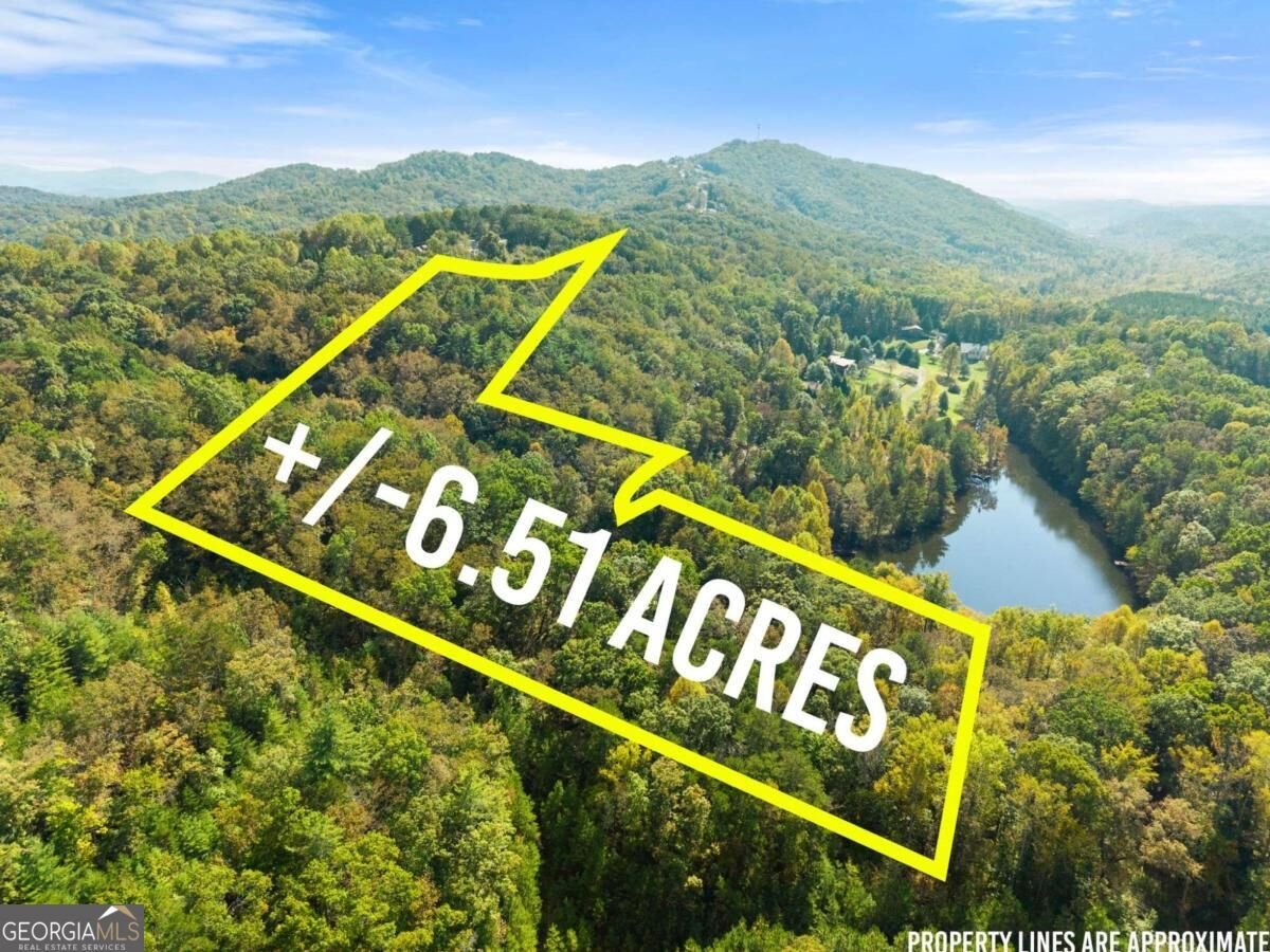 364 Talona Lake Terrace Ellijay - Photo 33