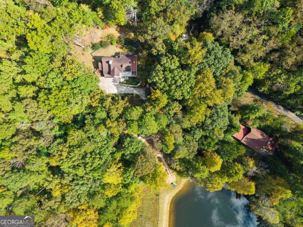 364 Talona Lake Terrace Ellijay - Photo 36