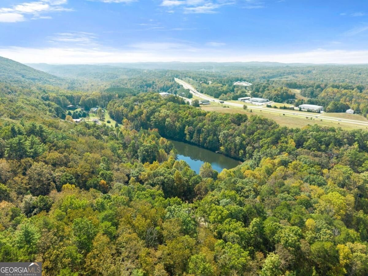 364 Talona Lake Terrace Ellijay - Photo 46