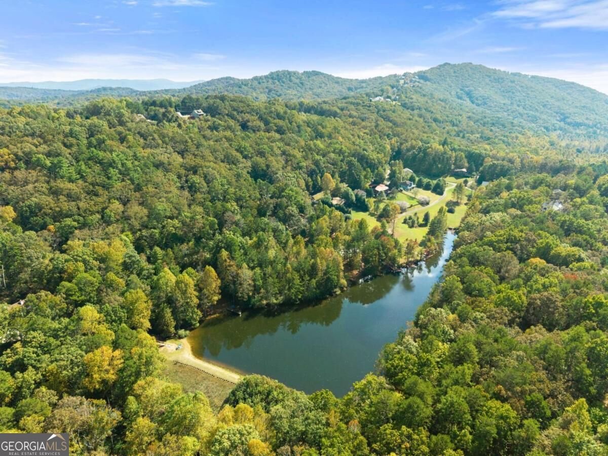 364 Talona Lake Terrace Ellijay - Photo 47